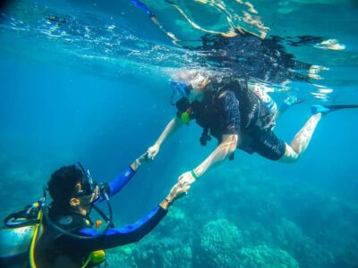 From Sharm: Luxury Diving cruise to Ras Mohammed with Lunch