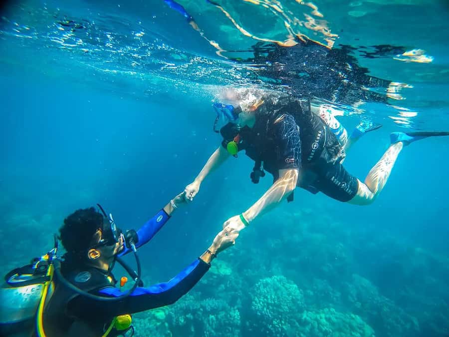 From Sharm: Luxury Diving cruise to Ras Mohammed with Lunch - From the hotel to the Sharm marina