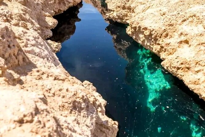 From Sharm: Ras Mohamed National Park and Magic Lake Day Tour - Mangroves show another side of the park