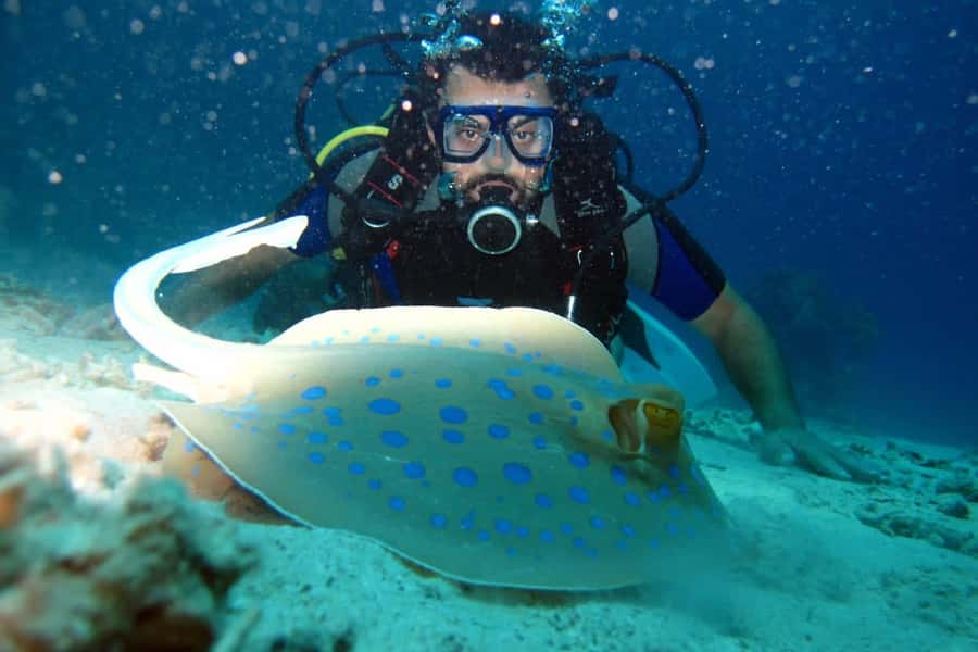 From Sharm: Ras Mohammed snorkeling cruise & optional diving - Booking Details Worth Checking