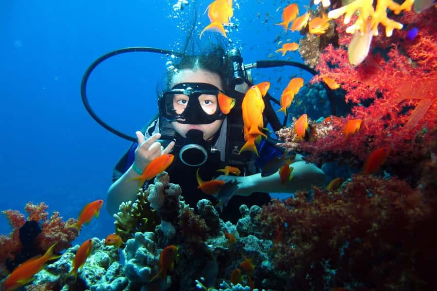 From Sharm: Ras Mohammed snorkeling cruise & optional diving - Optional Introductory Scuba