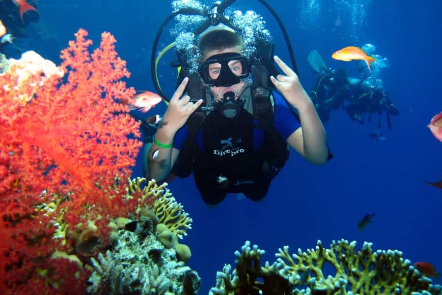From Sharm: Ras Mohammed snorkeling cruise & optional diving - Crew, Languages, and Onboard Help