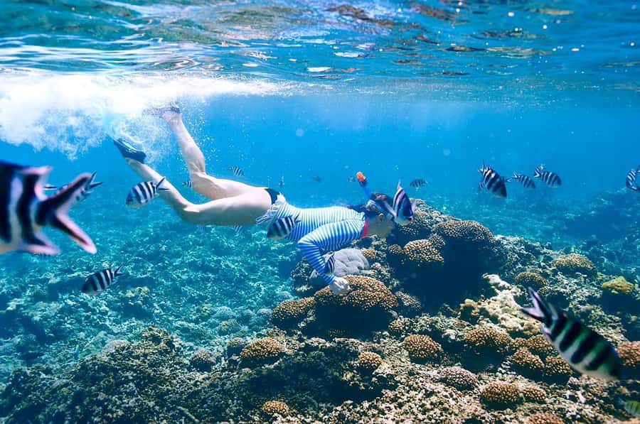 From Sharm: Ras Mohammed snorkeling cruise & optional diving - What the $31 Price Really Covers