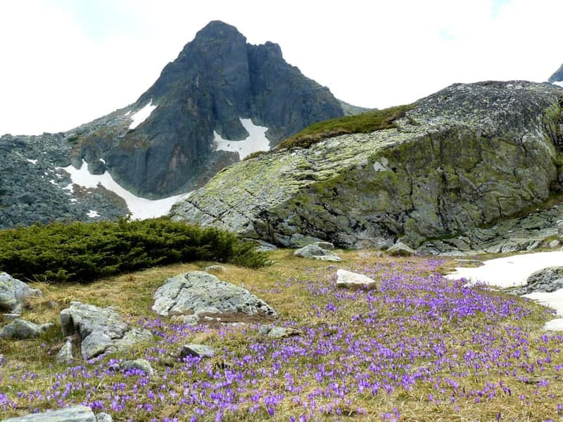 From Sofia: The Seven Rila Lakes Full-Day Self-Guided Tour - Walking the five-lake or seven-lake route