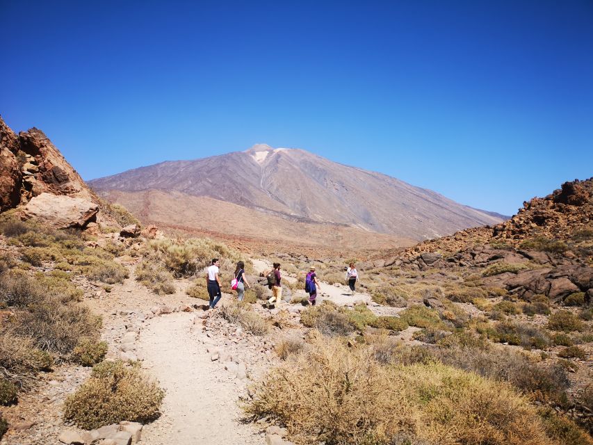 From South Tenerife: Teide National Park Tour - Why this four-hour Teide trip works well