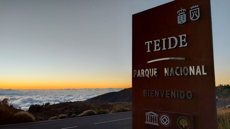 From South Tenerife: Teide National Park Tour - The minibus, guides, and group size