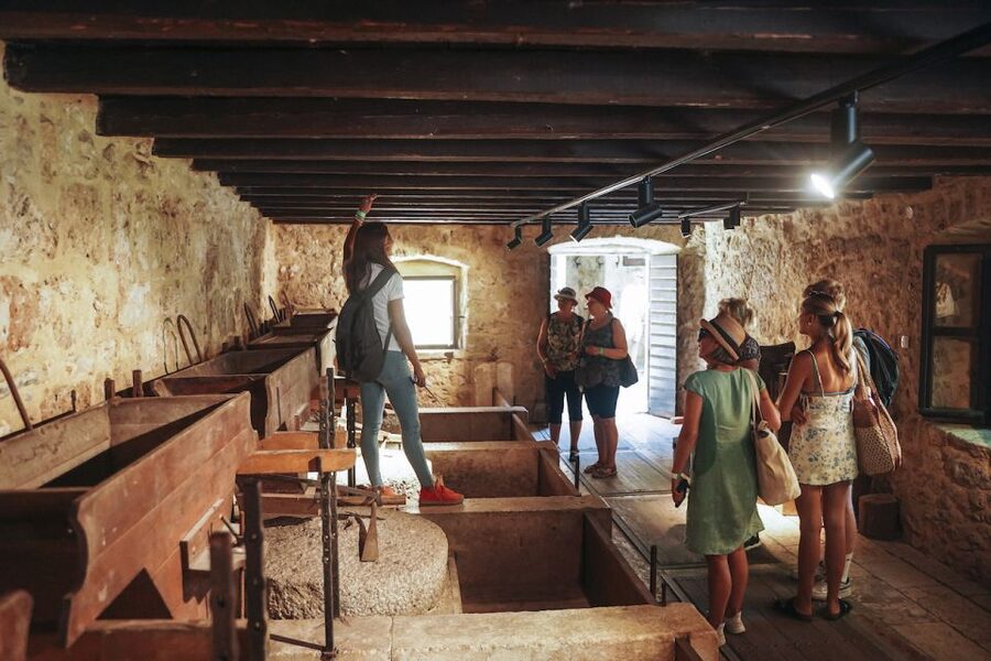 From Split: Krka Waterfalls, Food & Wine Tasting Tour - Who will enjoy this day most?