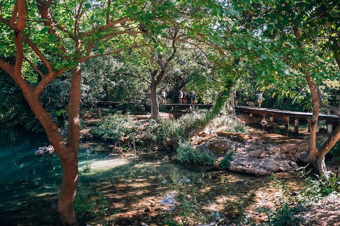 From Split: Krka Waterfalls, Food & Wine Tasting Tour - Wine tasting at Sladić in Plastovo