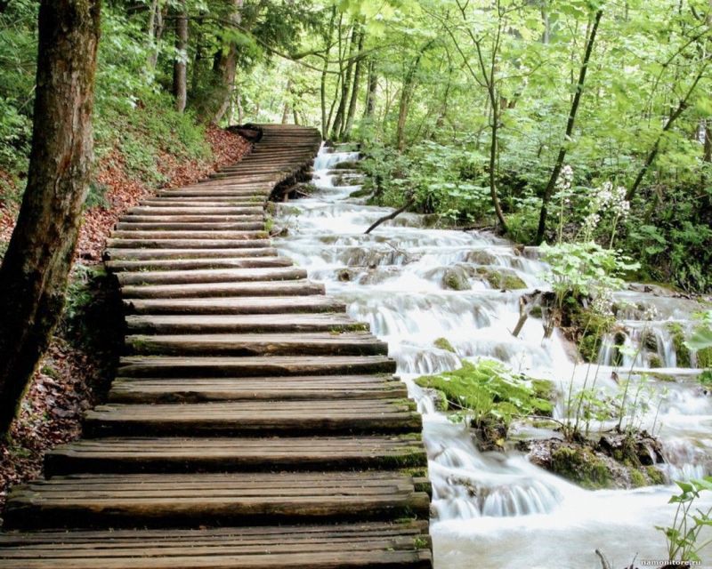 From Split or Trogir: Plitvice Lakes Guided Tour - The electric train, or park road train