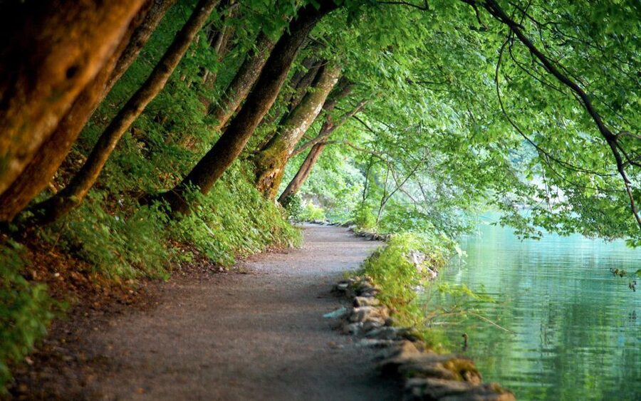 From Split or Trogir: Plitvice Lakes Guided Tour - The ride from Split or Trogir