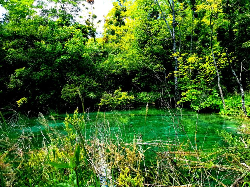 From Split: Plitvice Lakes Full-Day Trip - What the long return journey feels like