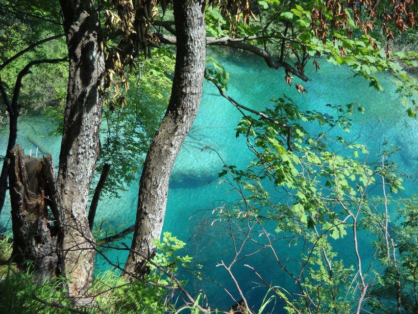 From Split: Plitvice Lakes Full-Day Trip - Price, park tickets, and the real cost