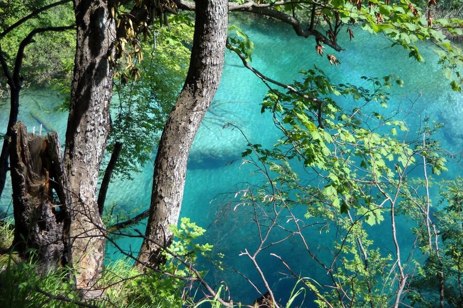 From Split: Plitvice Lakes Fully-Guided Day Tour - The three-hour bus ride from Split