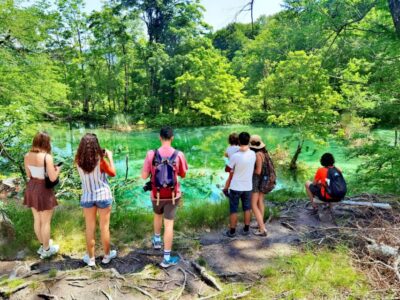 Plitvice Lakes Guided Tour with Entry Tickets