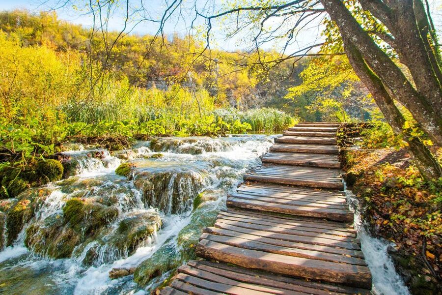From Split: Plitvice Lakes Guided Tour with Entry Tickets - The electric train and panoramic boat ride