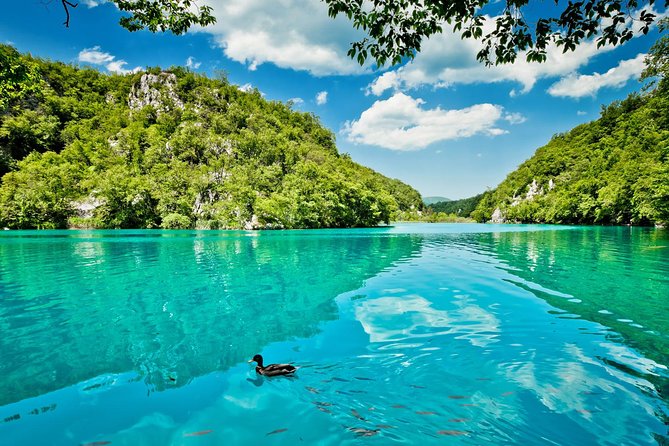 From Split: Plitvice Lakes National Park Guided Tour - Weather, clothing, and physical effort