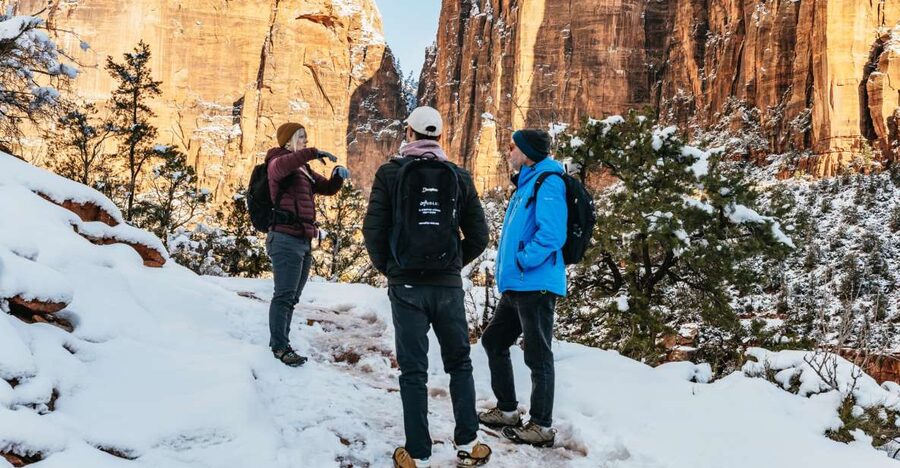 From Springdale: 4-hour Zion Canyon Scenic Hiking Tour - Key points to know before you book