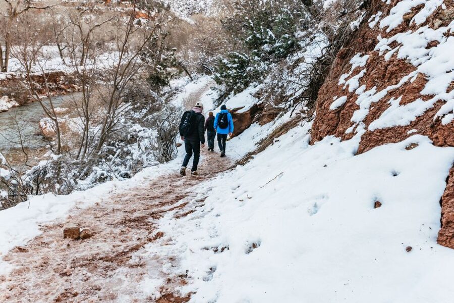 From Springdale: 4-hour Zion Canyon Scenic Hiking Tour - Booking advice and final call