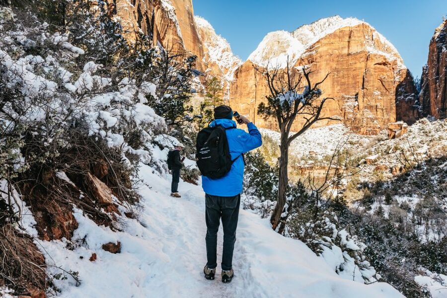 From Springdale: 4-hour Zion Canyon Scenic Hiking Tour - Starting with Zion’s red-rock walls