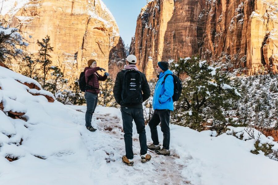 From Springdale: 4-hour Zion Canyon Scenic Hiking Tour - What you might see on the short-hike option