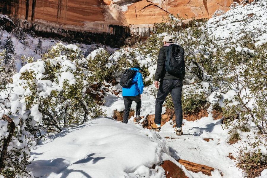 From Springdale: 4-hour Zion Canyon Scenic Hiking Tour - Why the guide matters here