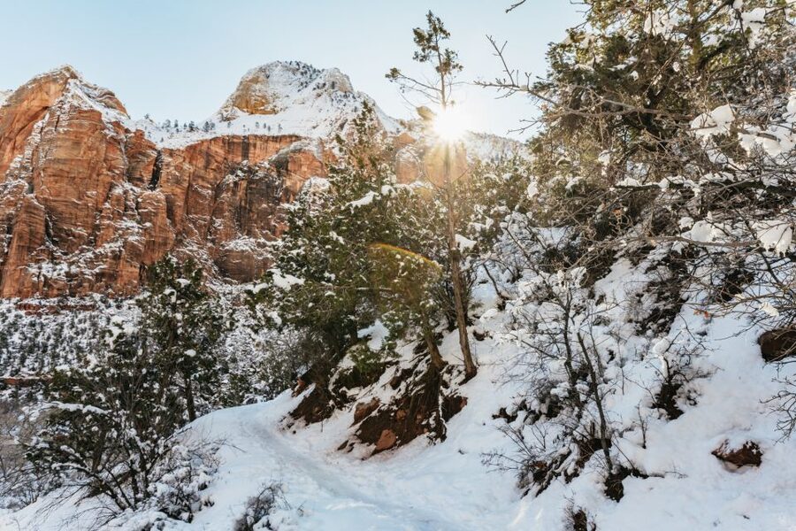 From Springdale: 4-hour Zion Canyon Scenic Hiking Tour - Choosing the right difficulty