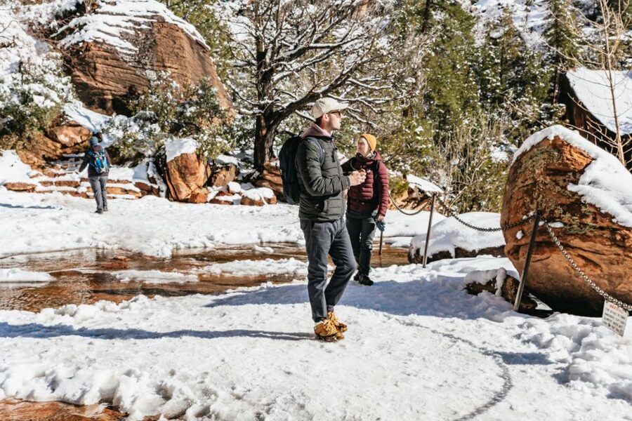 From Springdale: 4-hour Zion Canyon Scenic Hiking Tour - The shuttle, parking, and meeting point