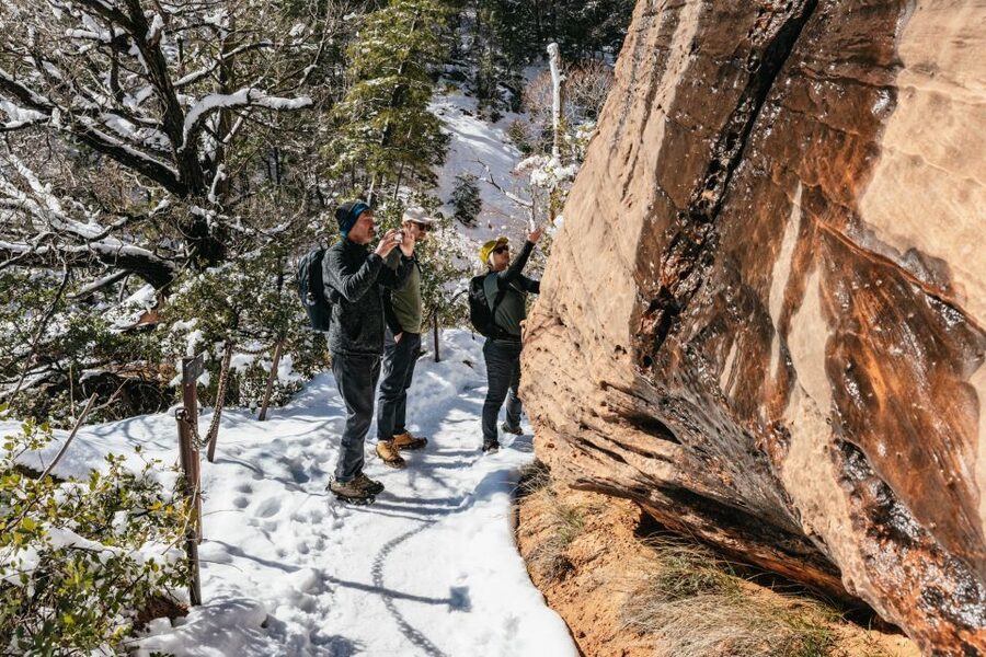 From Springdale: 4-hour Zion Canyon Scenic Hiking Tour - Is $196 per person a fair price?