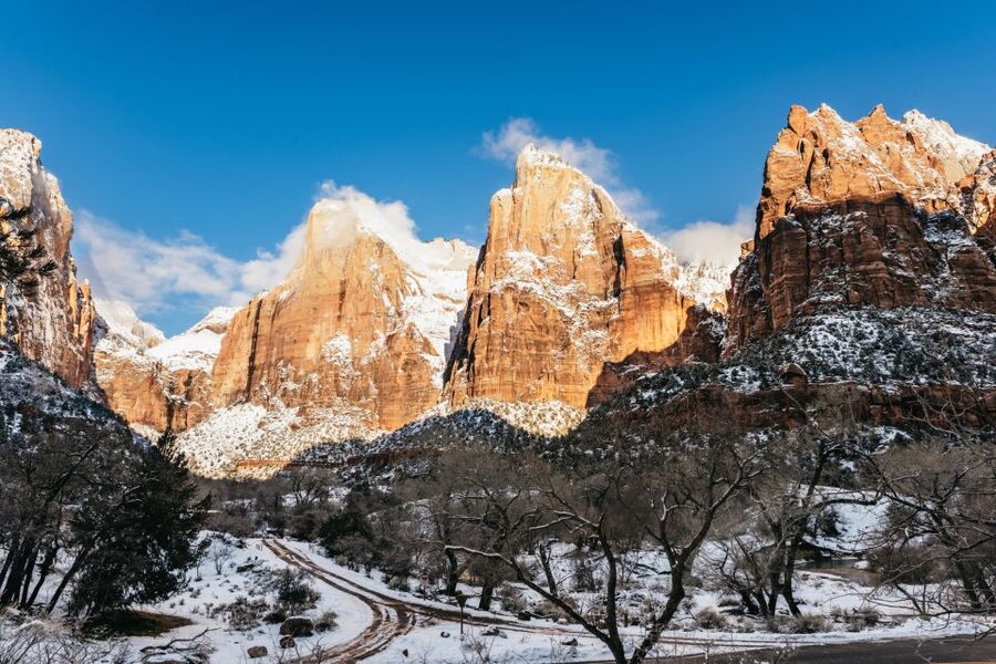 From Springdale: 4-hour Zion Canyon Scenic Hiking Tour - How the four-hour itinerary works