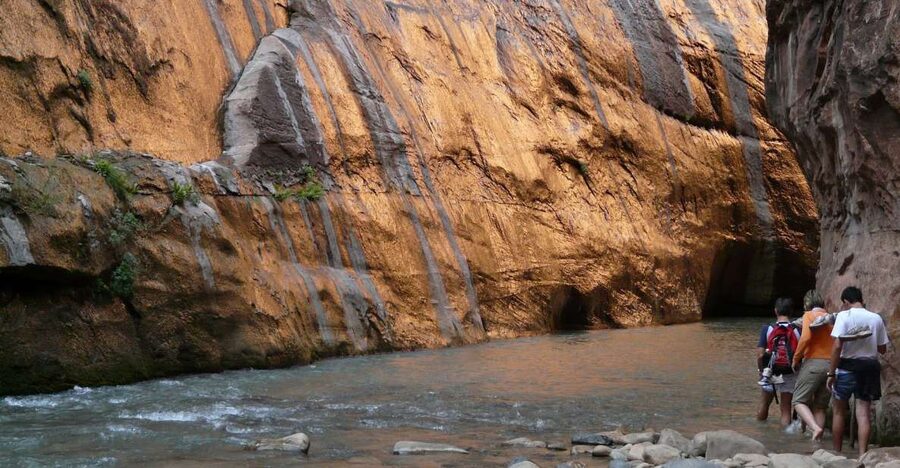 From Springdale: The Zion Narrows Hike with Lunch - Walking into Zion’s river-carved canyon