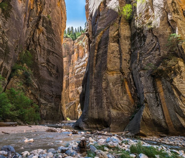 From Springdale: The Zion Narrows Hike with Lunch - The scenic ride to Temple of Sinawava