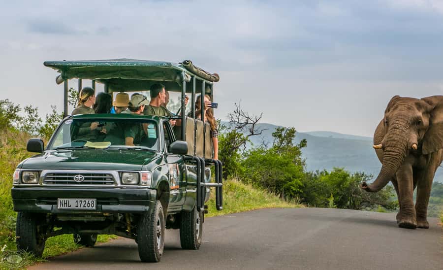 From St Lucia: iSimangaliso Sunset Safari - Who will enjoy this safari most