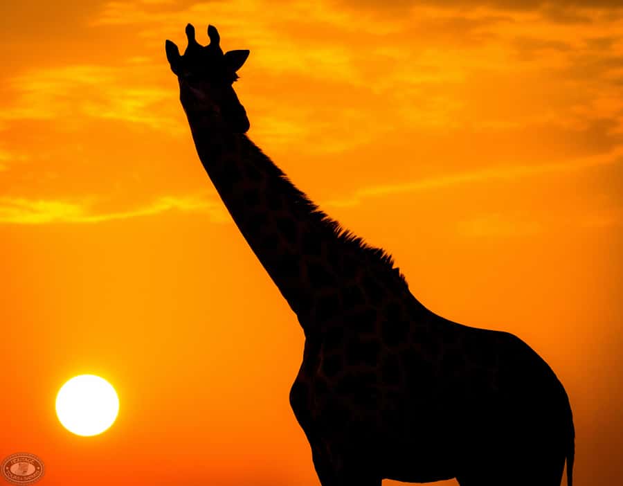 From St Lucia: iSimangaliso Sunset Safari - What the three-hour route feels like