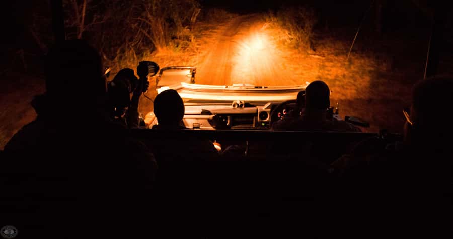 From St Lucia: iSimangaliso Wetland Park Night Drive Safari - Three hours inside the park