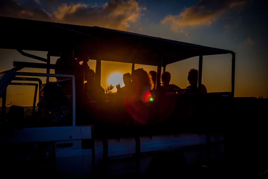From St Lucia: iSimangaliso Wetland Park Night Drive Safari - Pickup in St Lucia at 7:00 PM or 8:00 PM