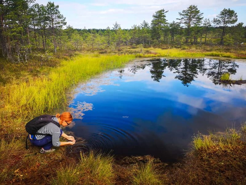 From Tallinn: Day Trip to Lahemaa National Park - Why Lahemaa makes a smart day outside Tallinn