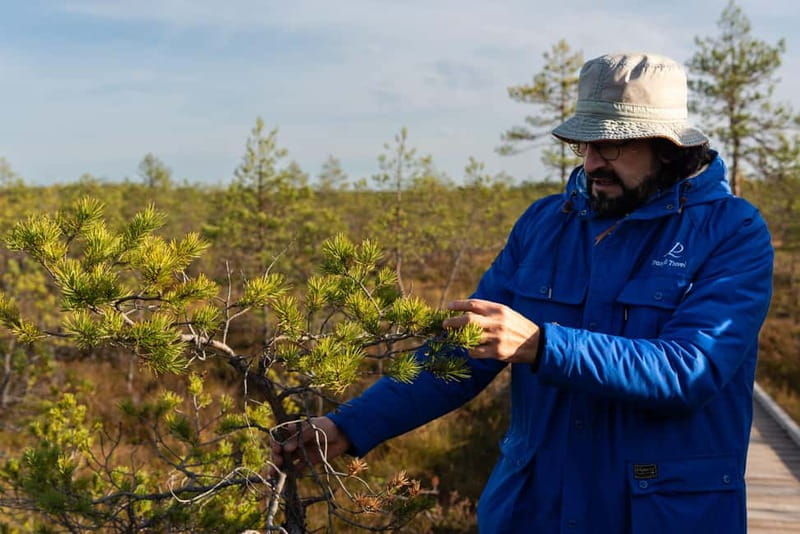 From Tallinn: Day Trip to Lahemaa National Park - What the $140 price really buys you