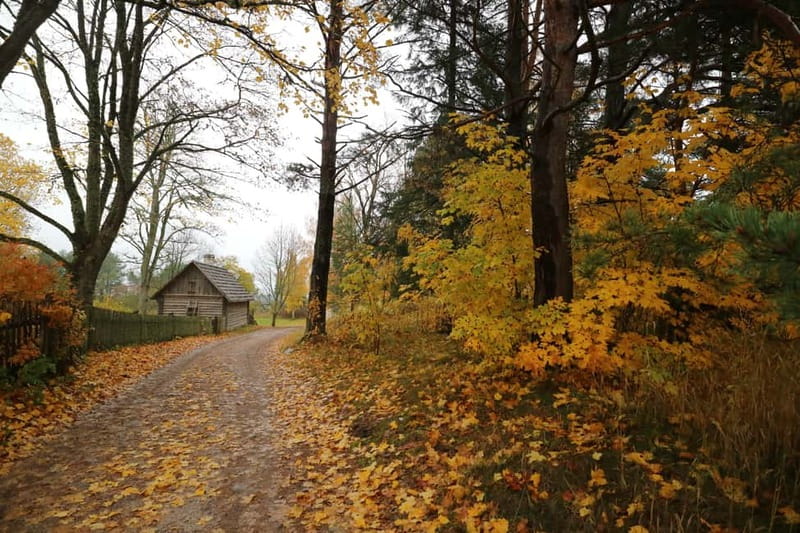 From Tallinn: Day Trip to Lahemaa National Park - Who should book this Lahemaa day trip