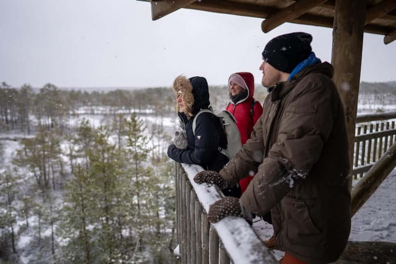 From Tallinn: Day Trip to Lahemaa National Park - Viru Bog gives the tour its wildest hour