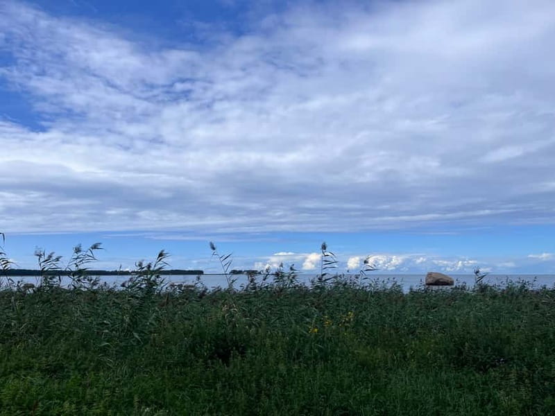 From Tallinn: Lahemaa National Park Day Trip - Why Lahemaa Makes a Good Break from Tallinn