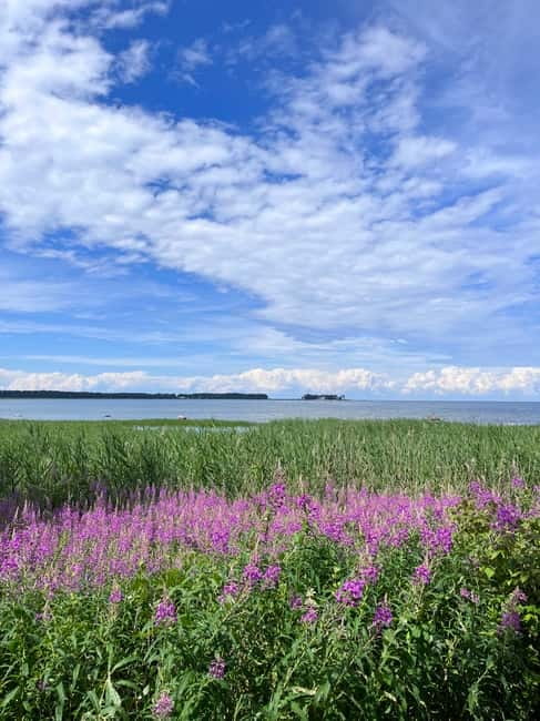 From Tallinn: Lahemaa National Park Day Trip - What $147 Buys You in Practical Terms