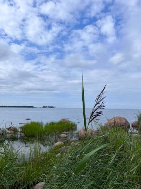 From Tallinn: Lahemaa National Park Day Trip - The Viru Bog Trail and Its Strange Beauty