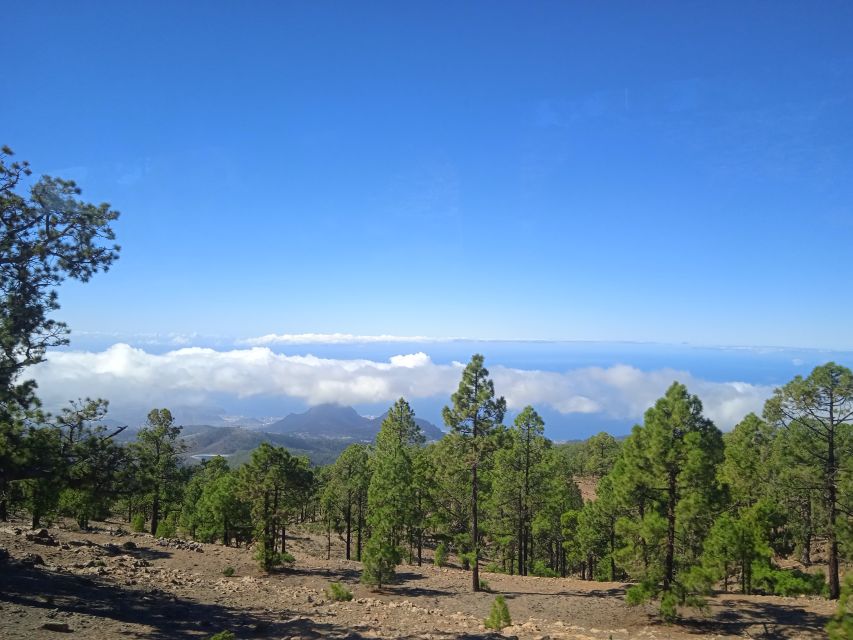 From Tenerife: Teide National Park Guided Day Trip by Bus - Key points to know before booking