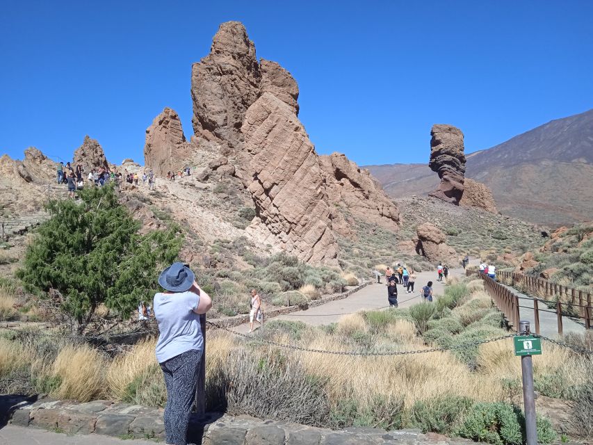 From Tenerife: Teide National Park Guided Day Trip by Bus - Who should book this Teide outing