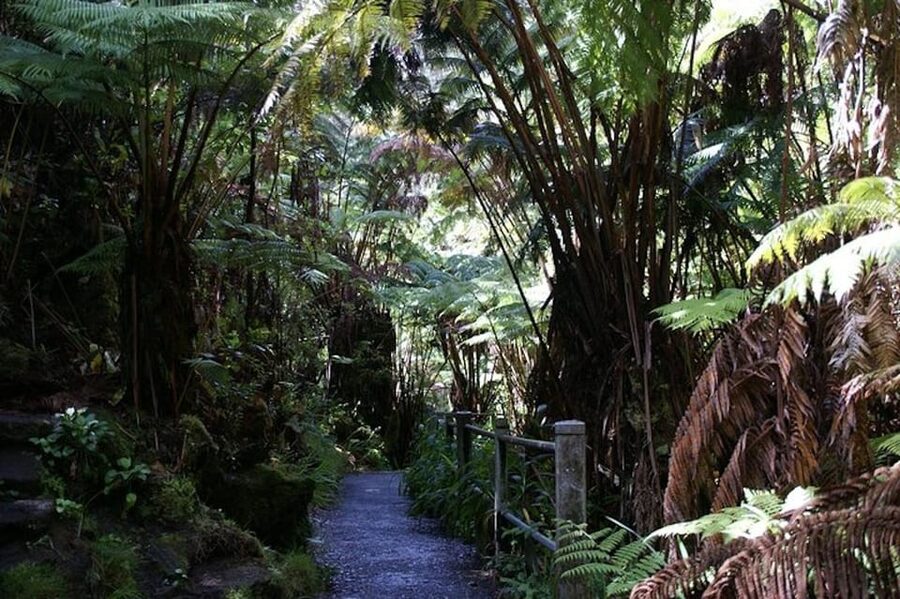 From the Big Island: Hawaii Volcanoes National Park Tour - How the guides shape the day