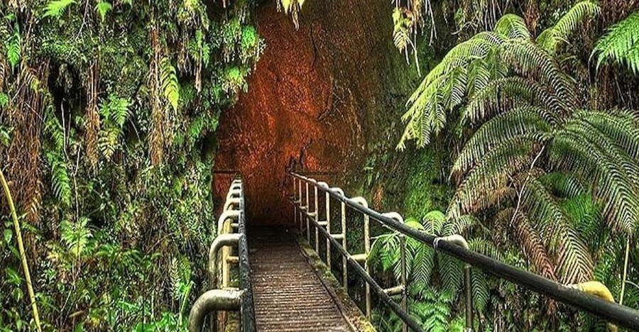 From the Big Island: Hawaii Volcanoes National Park Tour - A sweet stop at Punalu’u bakery