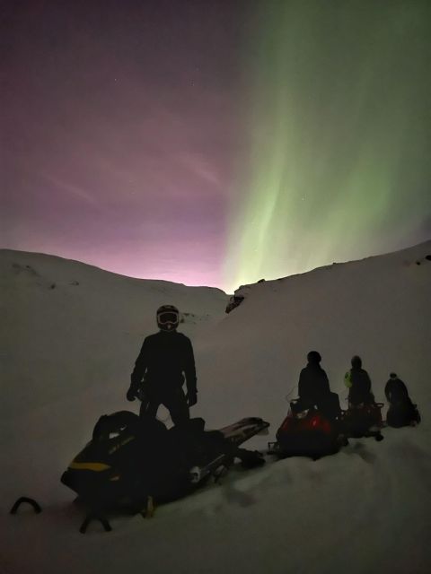 From Tromso: Arctic Wilderness Snowmobile Evening Tour - Two people, one snowmobile, two chances to drive