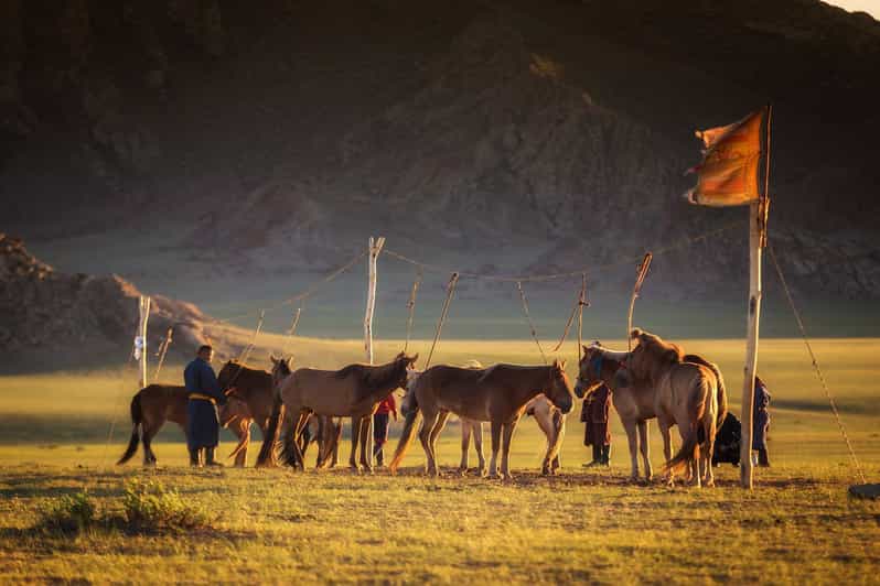From Ulaanbaatar: Day Trip to Hustai National Park - Why Hustai is a smart first taste of Mongolia