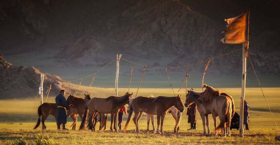 From Ulaanbaatar: Day Trip to Hustai National Park - Lunch, yurts, and a small taste of local life