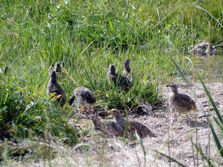 From Ulaanbaatar: Day Trip to Hustai National Park - Is $195 good value for a six-hour outing?